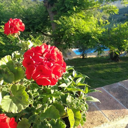 Le Massucce Villa San Casciano in Val di Pesa Exterior foto