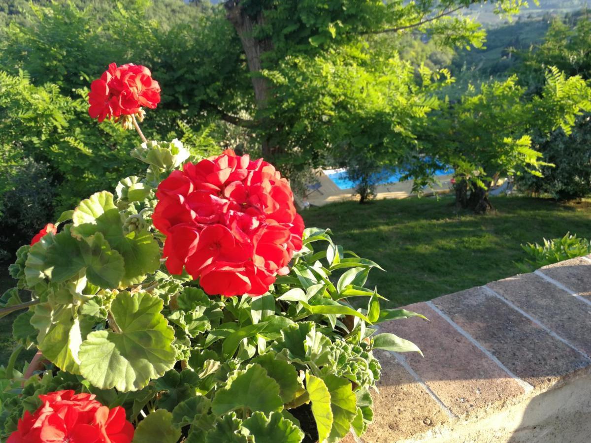 Le Massucce Villa San Casciano in Val di Pesa Exterior foto