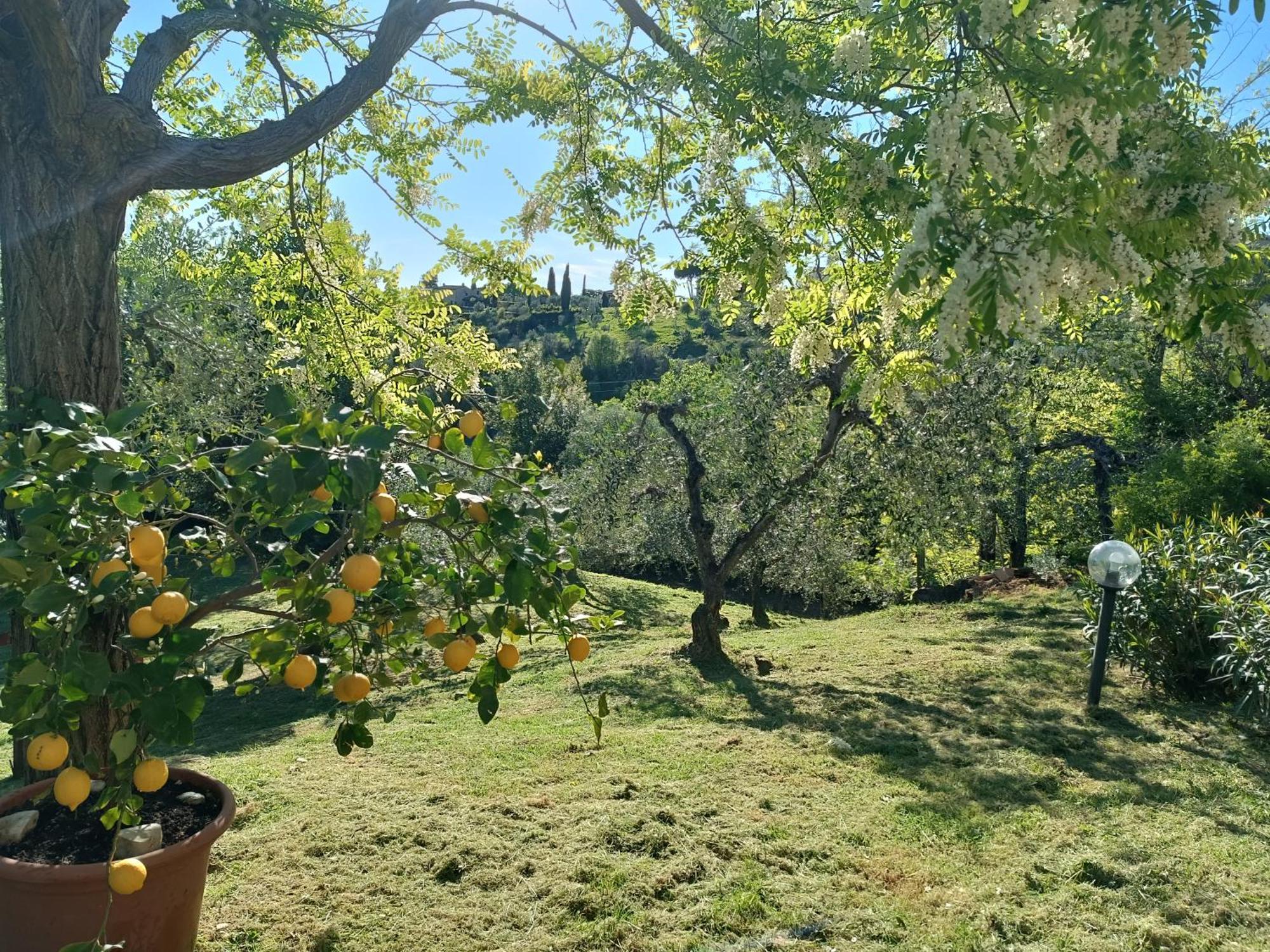 Le Massucce San Casciano in Val di Pesa Exterior foto