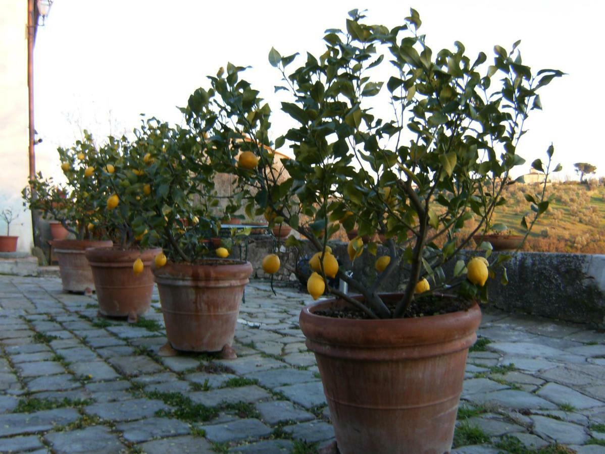 Le Massucce Villa San Casciano in Val di Pesa Exterior foto