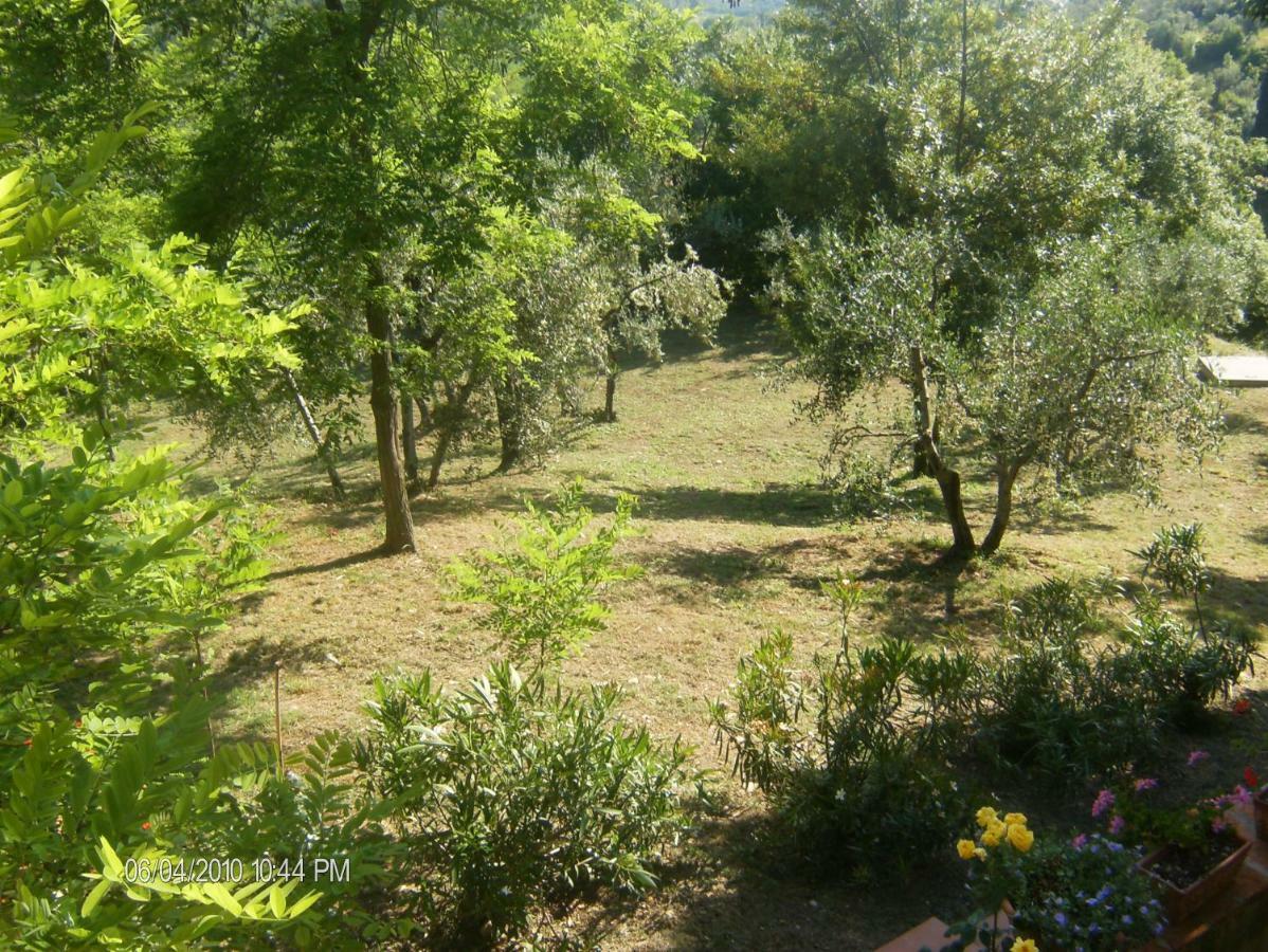 Le Massucce Villa San Casciano in Val di Pesa Exterior foto