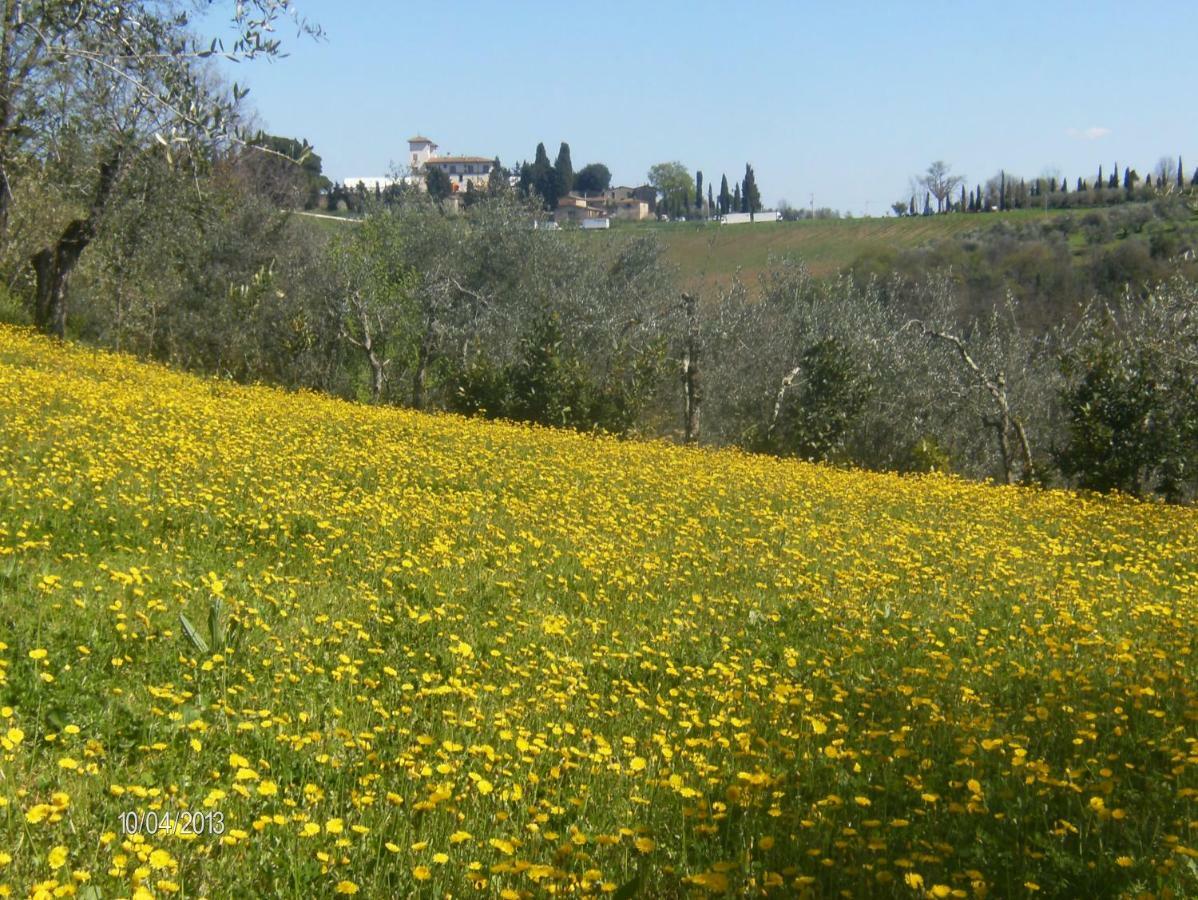 Le Massucce Villa San Casciano in Val di Pesa Exterior foto