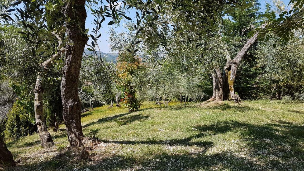 Le Massucce Villa San Casciano in Val di Pesa Exterior foto