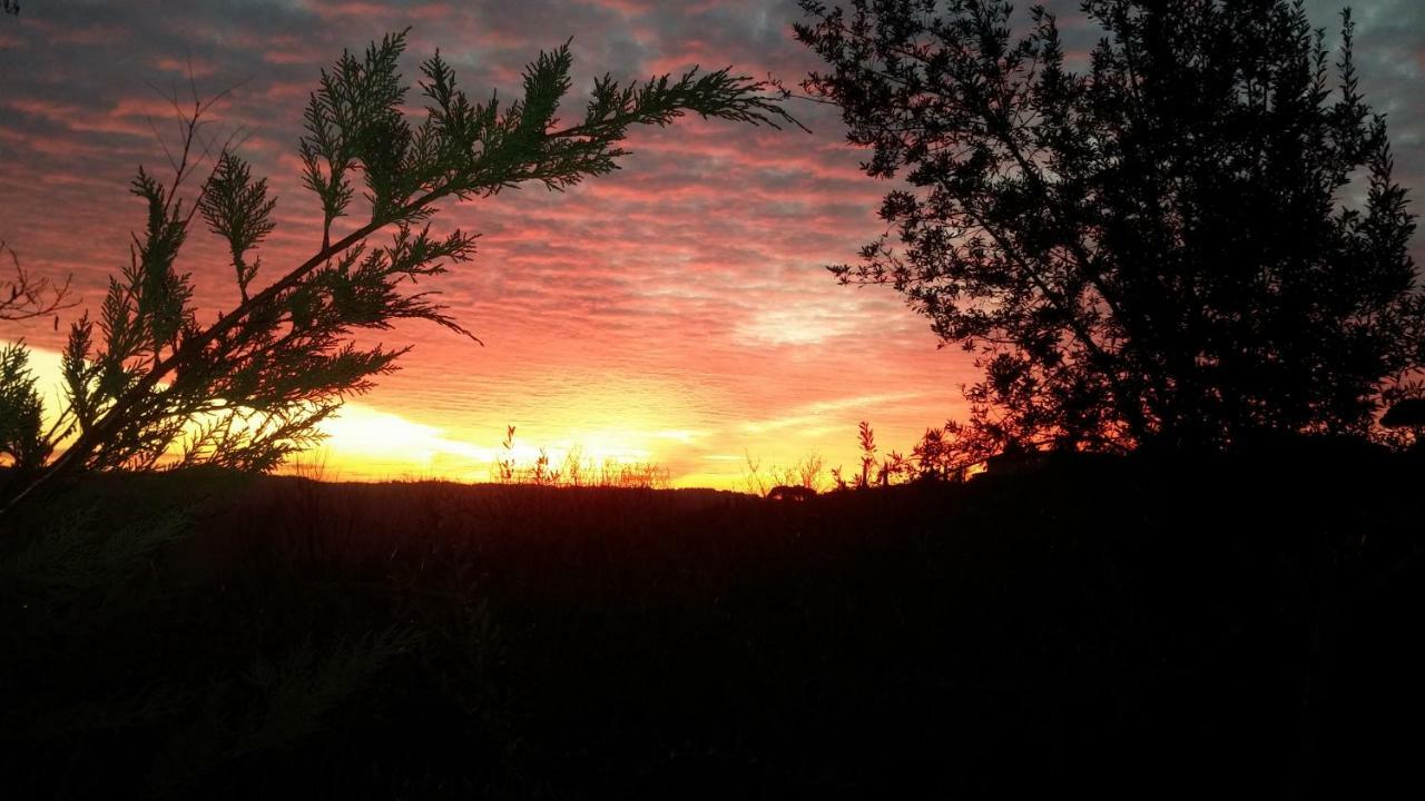Le Massucce San Casciano in Val di Pesa Exterior foto